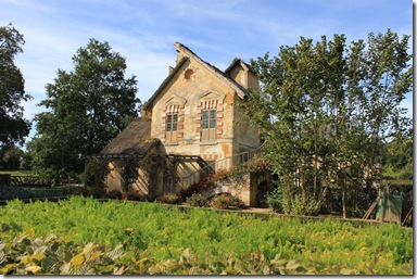 IMG_0817 IMG_0817