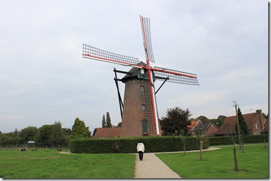 IMG_2394 IMG_2394