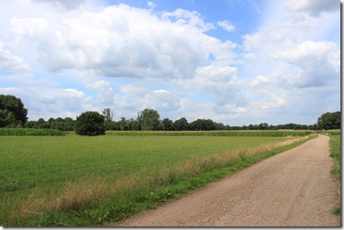 IMG_7206 IMG_7206