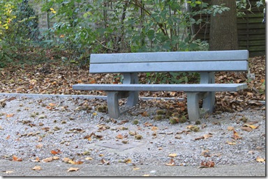 IMG_3010 IMG_3010
