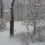 First Snow - 2009