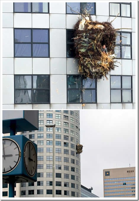 a269_nest