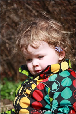 IMG_4205 IMG_4205