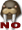 walrus_reno walrus_reno