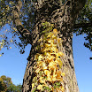 PA140681.JPG