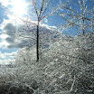 DSCF2311.JPG