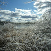 DSCF2321.JPG