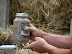 This jar contains clay and water. After the shake test, you see the clay sticks to the jar on the top and will crack slightly once it starts to dry. That is a good way to tell.
MVG