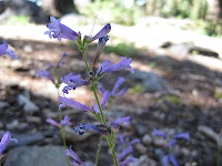 Photo Photo