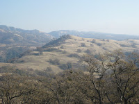 IMG_1172.jpg