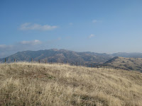 IMG_1180.jpg