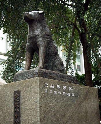 [1196158322088[6].jpg]