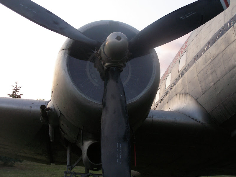 p8041451.jpg