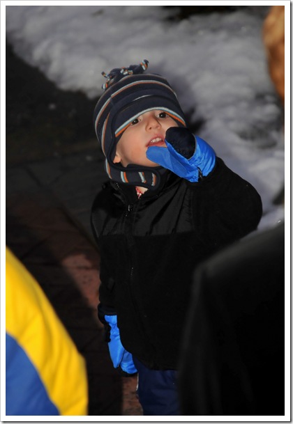 DSC_7711 DSC_7711