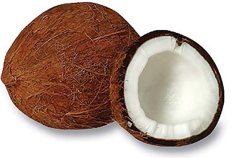 [coconut2[5].jpg]