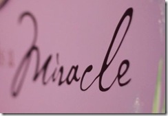 akelee4 akelee4