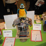 birdhouse_2007_05.JPG