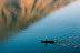 Lake Atitlan, Guatemala. A 10,000 foot peak reflected on the surface of an exquisite mile high lake during sun rise.