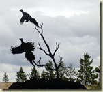 flyingsm flyingsm