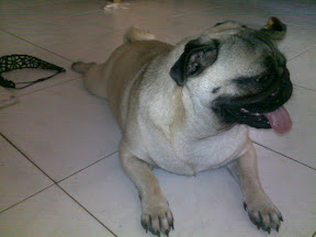 08092009016.jpg