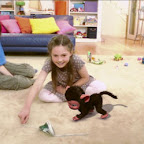 Eyepet_1.jpg