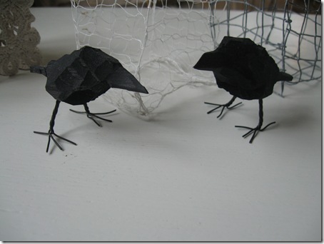 IMG_7643 IMG_7643