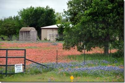 Hill Country 2010 023