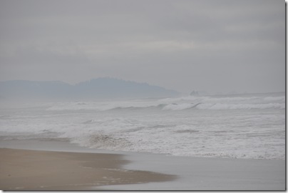 Nehalem State Park 077