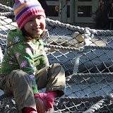 Zoo & Hawk 008.jpg