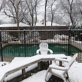 Feb 11 2010 038.jpg