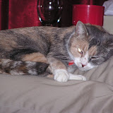Penelope 012.jpg