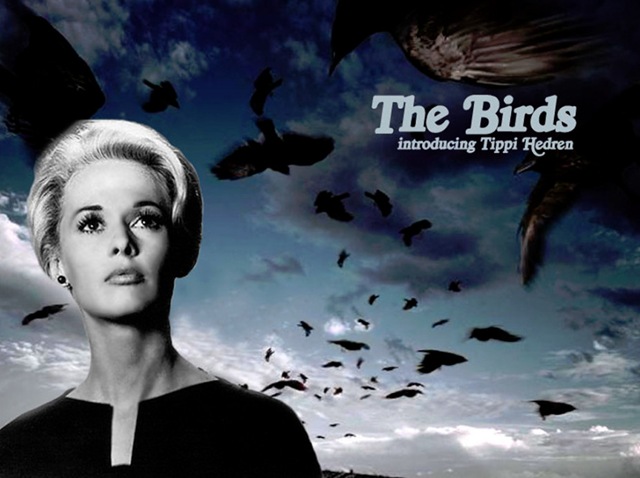 [The Birds Movie[3].jpg]