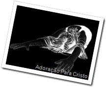 prostrado2