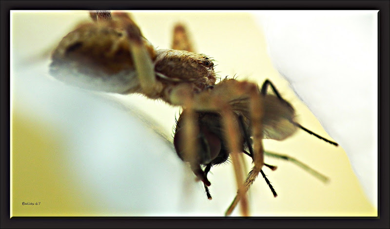 Fun & Info @ Keralites.net