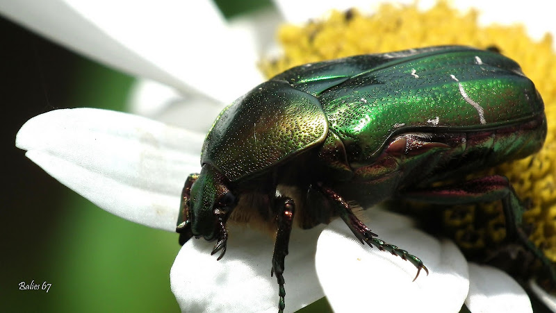 Fun & Info @ Keralites.net