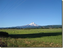 DSC02913