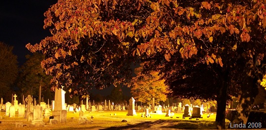 [Yantic Cemetery with floodlights[8].jpg]