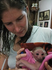IMG_2313 IMG_2313