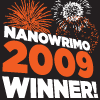 [nano_09_winner_100x1009.png]