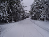 Picture 020.jpg