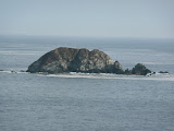 P1000160.jpg
