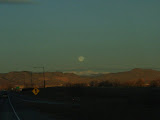 mini-Picture 013.jpg