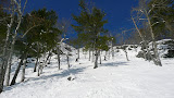P1050786.JPG
