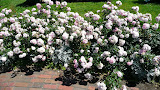 P1010574.JPG