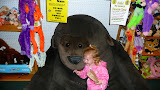P1010560.JPG