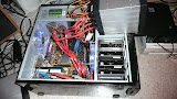 P1010504.JPG