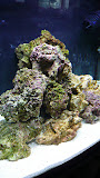 P1040415.JPG