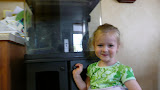 My daughter getting excited for the new tank, specially the “nemo's”