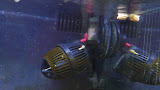 P1040453.JPG