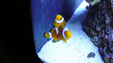 P1040648.JPG